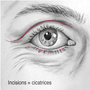 yeux