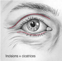 yeux